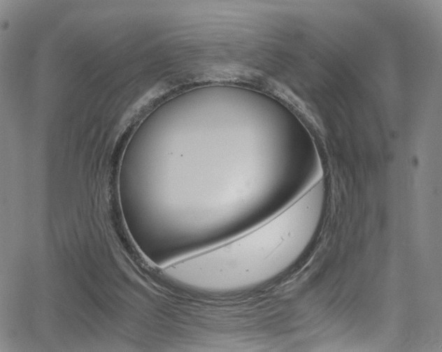 X0000062920203200601131141