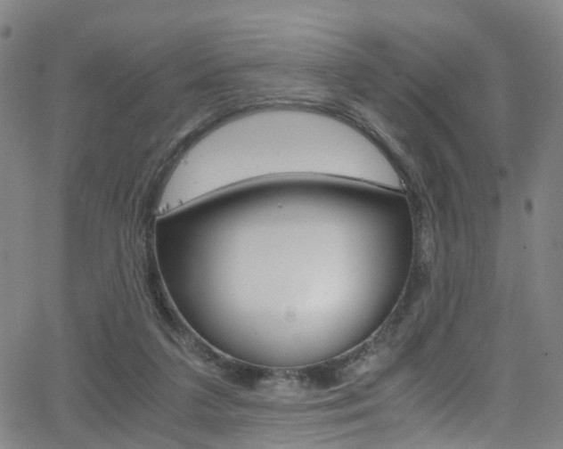 X0000062920211200601131141