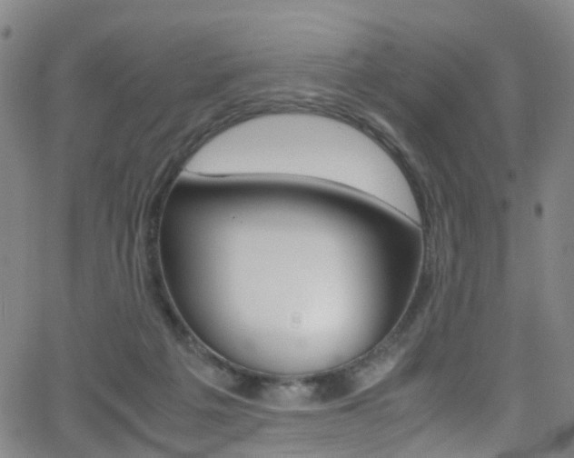X0000062920217200601131140