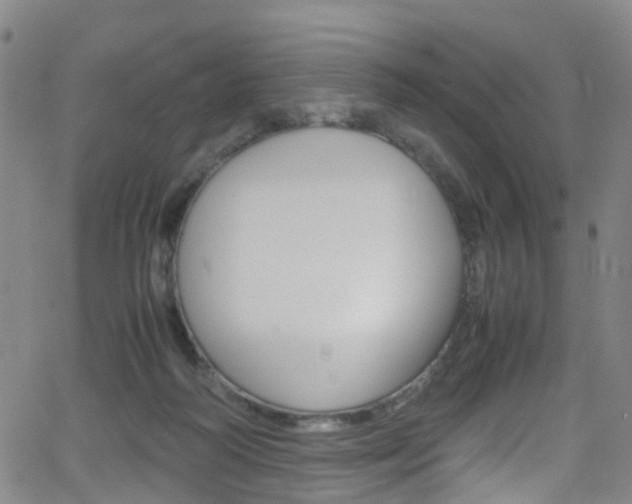 X0000062920218200601131140