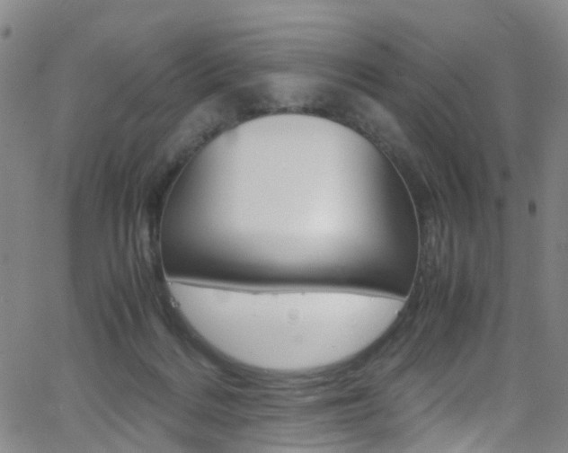 X0000062920220200601131140