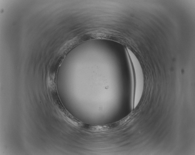 X0000062920239200601131140