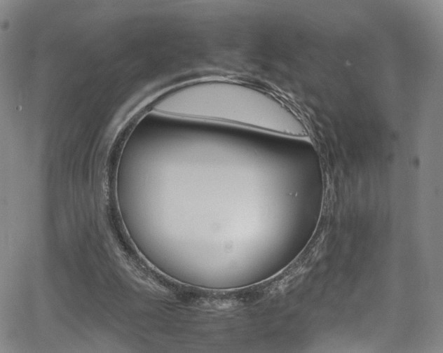 X0000062920247200601131139