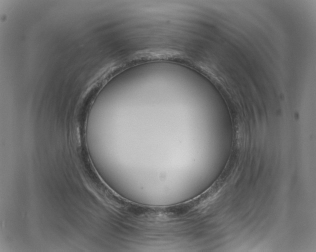 X0000062920254200601131139