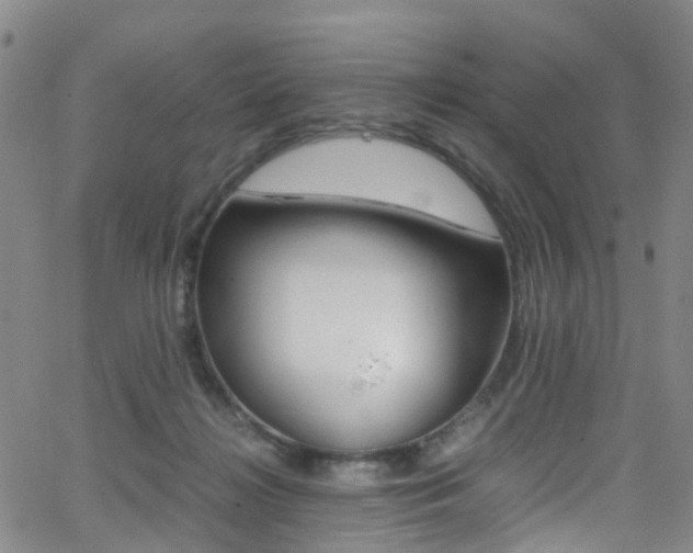 X0000062920268200601131140