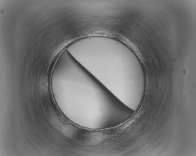 X0000062920298200601131139