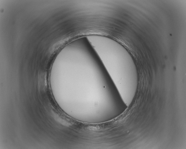 X0000062920302200601131139