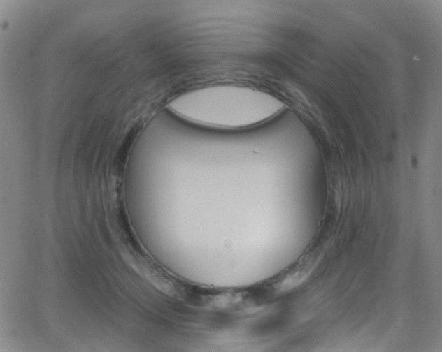 X0000062920366200601131138