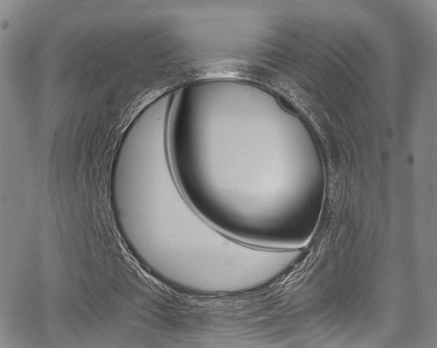 X0000062920385200601131138