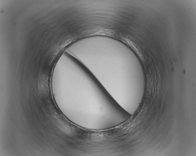 X0000062920394200601131137