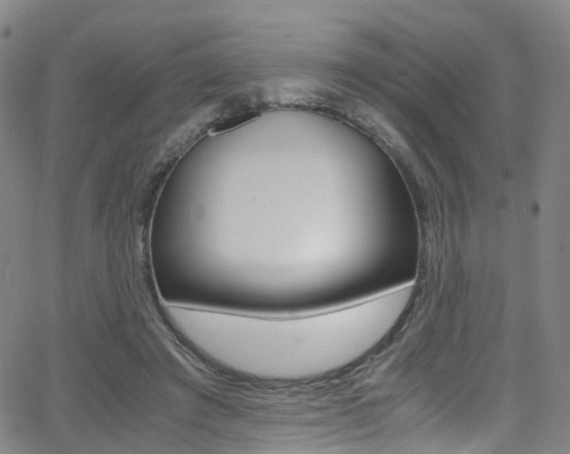 X0000062920401200601131137