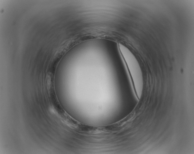 X0000062920412200601131137