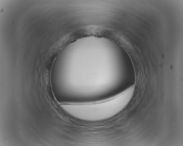 X0000062920413200601131137