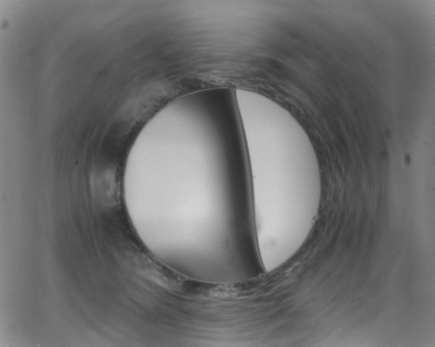 X0000062920420200601131137