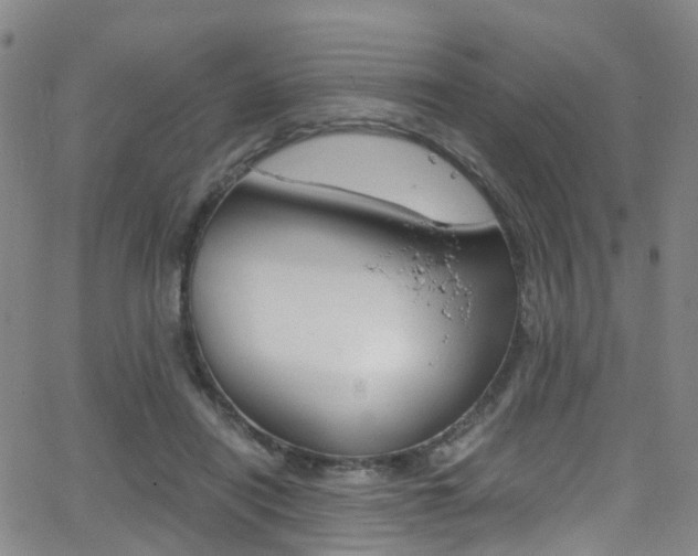 X0000062920454200601131136
