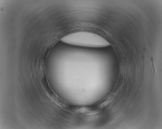 X0000062920460200601131136