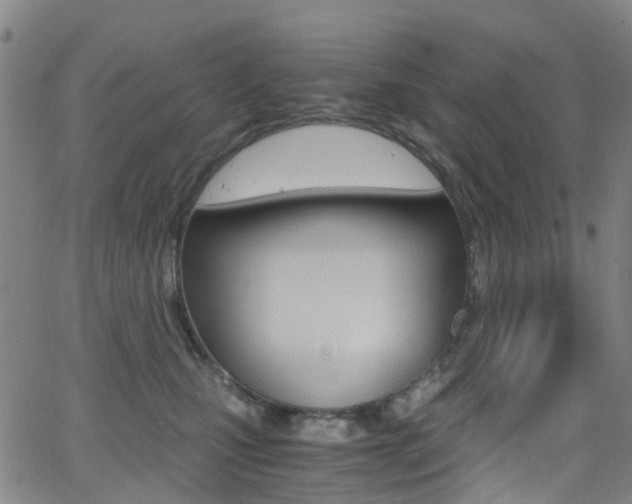 X0000062920471200601131137