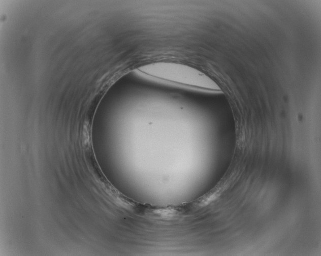 X0000062920478200601131137