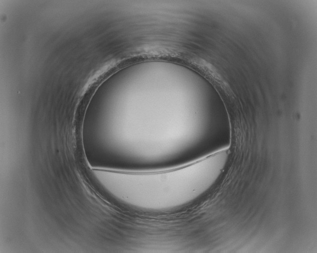 X0000062920488200601131136