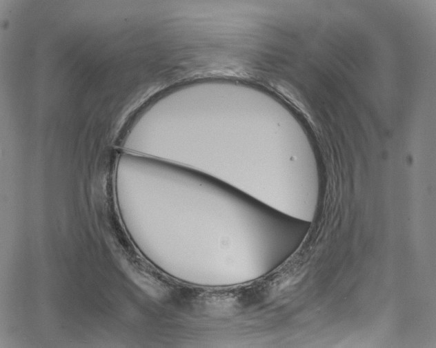 X0000062920491200601131136