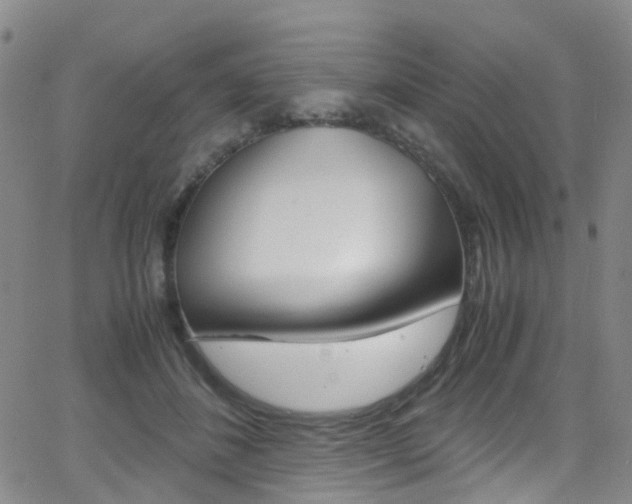 X0000062920508200601131136