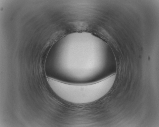 X0000062920516200601131135