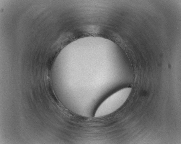 X0000062920518200601131135