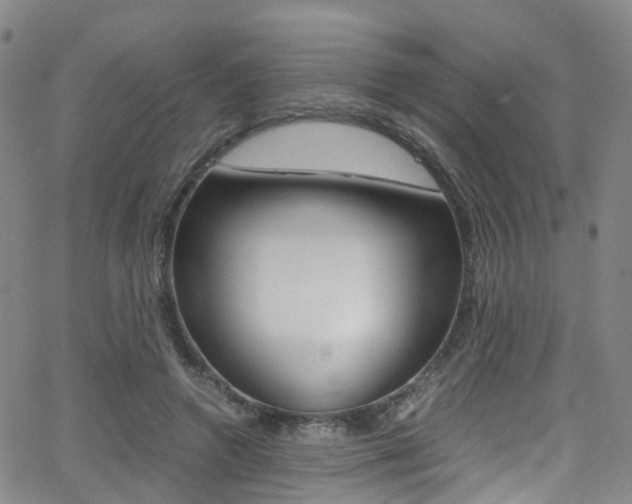 X0000062920546200601131135
