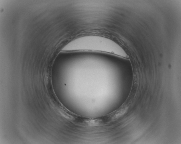 X0000062920558200601131135