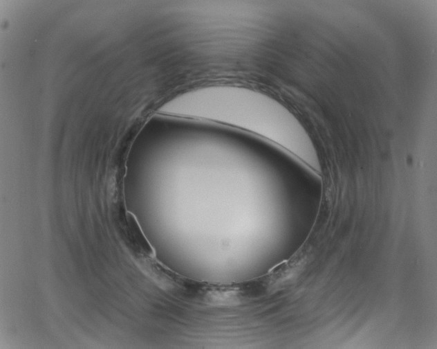 X0000062920560200601131135