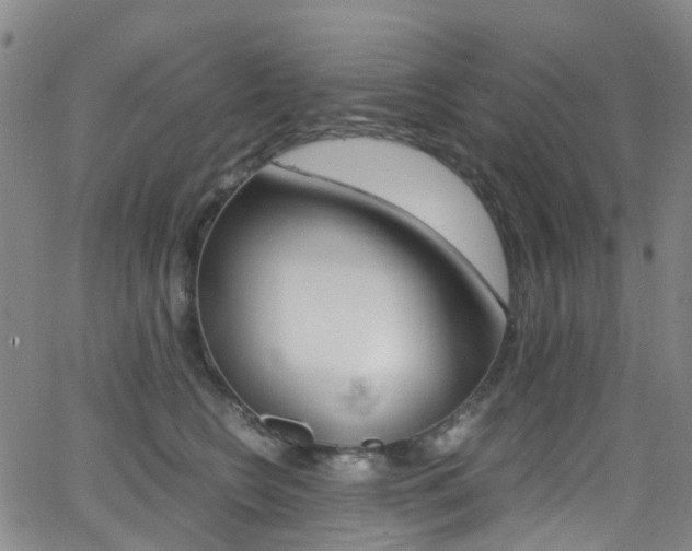 X0000062920566200601131135