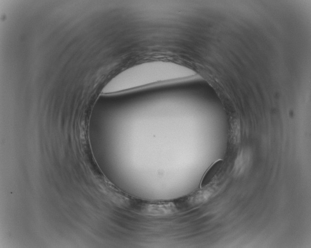 X0000062920571200601131135