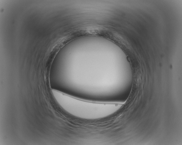 X0000062920595200601131134