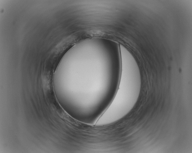 X0000062920604200601131134