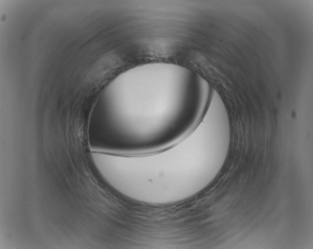 X0000062920608200601131134