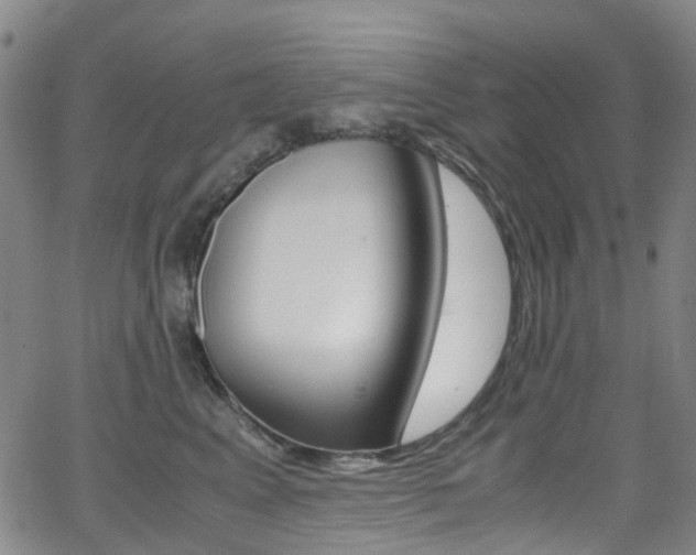 X0000062920617200601131134