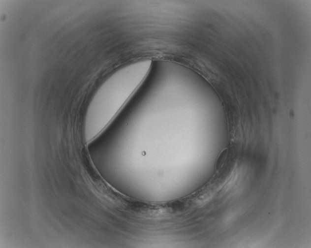 X0000062920646200601131133