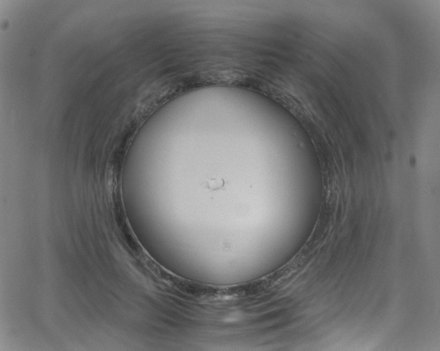 X0000062920647200601131133