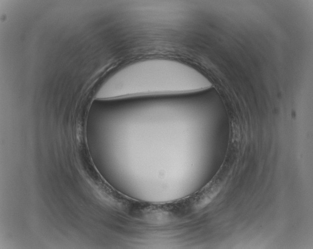 X0000062920648200601131133