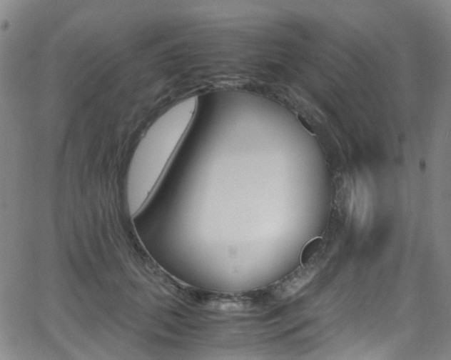 X0000062920655200601131133