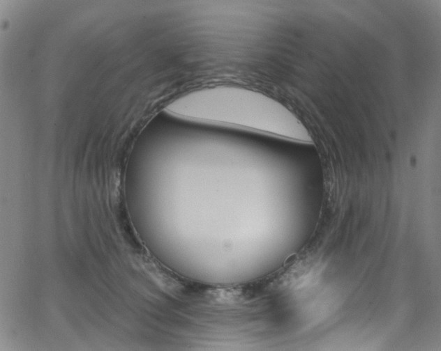 X0000062920660200601131133