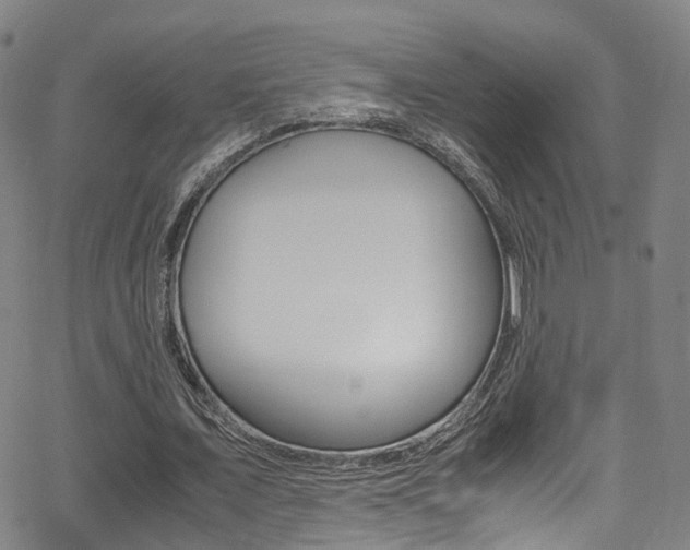 X0000062920675200601131133