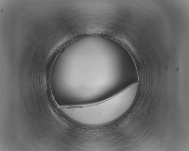 X0000062920684200601131133
