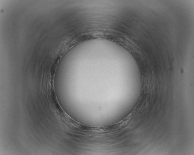 X0000062920702200601131132