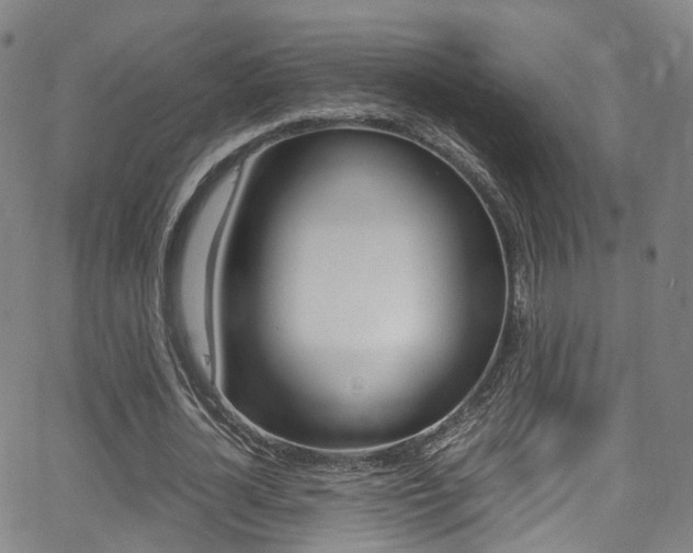 X0000062920724200601131131