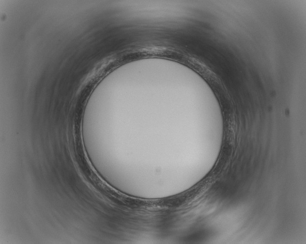 X0000062920734200601131131