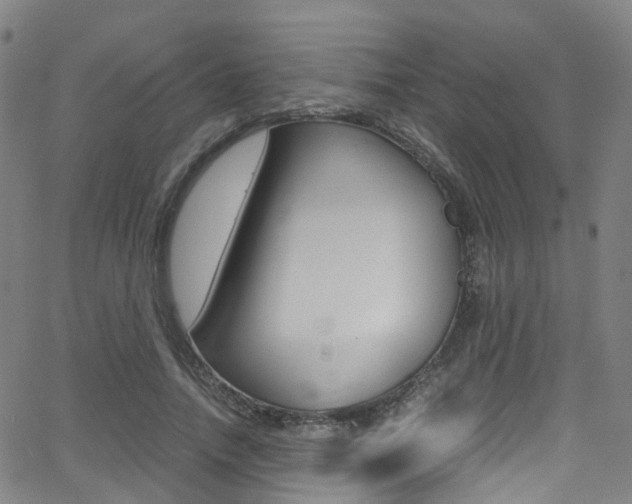 X0000062920738200601131131