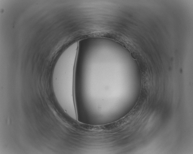 X0000062920742200601131131
