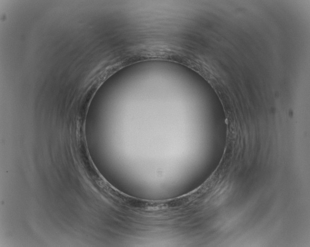 X0000062920744200601131131