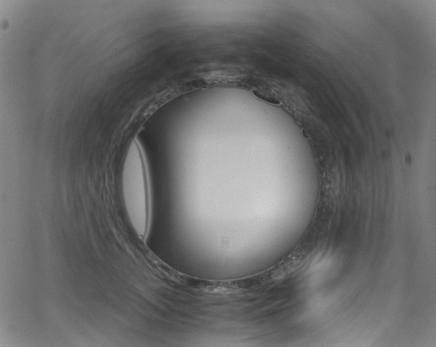 X0000062920755200601131132